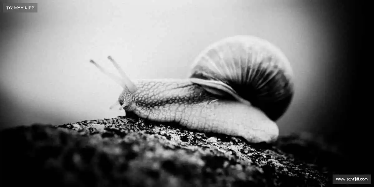 我们的核心竞争力